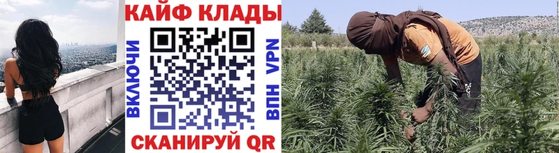 Купить закладку Кокаин  МЕФ  Гашиш  АМФ  Конопля  Альфа ПВП  Макаров