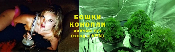 прущие крисы Верхний Тагил