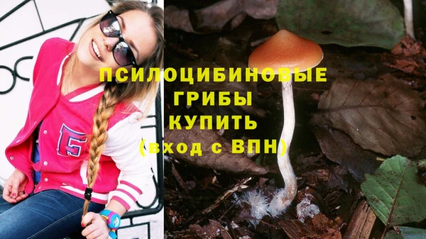 стаф Верхнеуральск