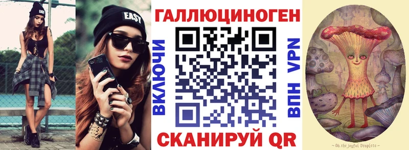 Галлюциногенные грибы Psilocybe  Купить закладки  Макаров 